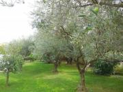 Location de particuliers � particuliers Chambre d'h�te en rez de jardin climatis�e avec piscine Chambres d'hotes Vaucluse photo 13