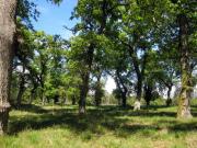 Location de particuliers � particuliers Les gites de la Palue - maison enti�re G�te Landes photo 10