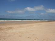 Location de particuliers � particuliers Les gites de la Palue - maison enti�re G�te Landes photo 11