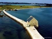 Location de particuliers � particuliers Le Clos du Roaliguen, presqu'�le de Rhuys  Location saisonni�re Morbihan photo 14