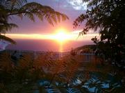 Location de particuliers � particuliers Les Kr�ol' Inns, chalets au charme cr�ole G�te R�union photo 3