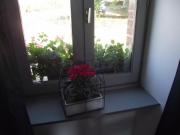 Location de particuliers � particuliers Chambre d'h�tes tr�s spacieuse, beau village fleuri Chambres d'hotes Allier photo 8