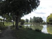 Location de particuliers � particuliers Maison de vacances au calme, au milieux de ch�nes,de vignes Location saisonni�re Charente maritime photo 13