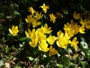 Location de particuliers � particuliers G�te La Cibulle G�te Vend�e photo 8