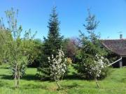 Location de particuliers � particuliers G�te La Cibulle G�te Vend�e photo 9