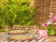 Location de particuliers � particuliers Tiloulocation - Chambre d�h�te / Giens  Chambres d'hotes Var photo 14