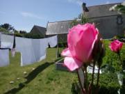 Location de particuliers � particuliers Meubl� de tourisme : Vue mer, Plage, WIFI, linge de lit  Location saisonni�re Finist�re photo 15