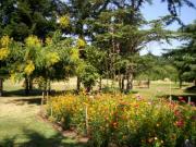 Location de particuliers � particuliers G�TE de z�phirin, entre caussade et Saint antonin Location saisonni�re Tarn et Garonne photo 6