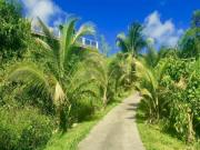 Location de particuliers � particuliers CHAMBRES D'HOTES GUADELOUPE Chambres chez l'habitant Guadeloupe photo 15