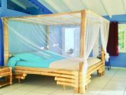 Location de particuliers � particuliers CHAMBRES D'HOTES GUADELOUPE Chambres chez l'habitant Guadeloupe photo 4