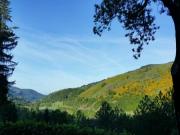 Location de particuliers � particuliers La Bixi�re, au coeur des Volcans d'Auvergne G�te Cantal photo 15