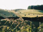 Location de particuliers � particuliers Chambre d'H�tes �cologique 