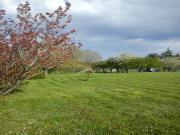 Location de particuliers � particuliers Le grand clos coeur des ch�teaux de la Loire et du zoo de Beauval  G�te Loir et Cher photo 3