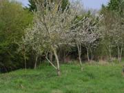 Location de particuliers � particuliers Nuit insolite au marais du nemrod Location insolite Somme photo 14