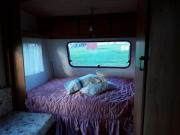 Location de particuliers � particuliers Petite caravane travail saisonnier Camping / Mobile-home Pyr�n�es Atlantiques photo 2