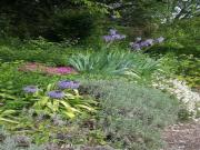 Location de particuliers � particuliers Mas Lou ranquet, parc national des C�vennes Chambres chez l'habitant Gard photo 2