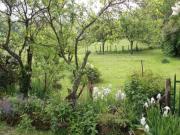 Location de particuliers � particuliers Les petits vergers : location meubl�e normes PMR, d�couverte Bourgogne du Sud G�te C�te d'or photo 6