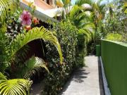 Location de particuliers � particuliers Gites Couleurs Antilles,piscine,jardin tropical G�te Guadeloupe photo 15