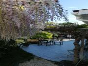 Location de particuliers � particuliers LA VILLA SAINTE CATHERINE, proche port ostr�icole, plages du bassin Chambres d'hotes Gironde photo 8