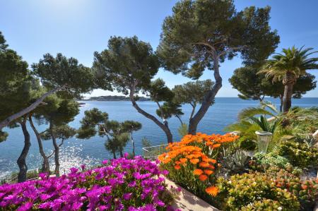 Location de particuliers � particuliers Studio luxe avec mezzanine - front de mer - acc�s direct mer - parking - tennis - wifi Location saisonni�re Var