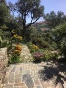 Location de particuliers � particuliers Appartement climatise vue mer et montagne,WIFI Location saisonni�re Pyr�n�es Orientales photo 15