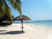 Location de particuliers � particuliers Studio rez de chauss�e cocoteraie - mer et piscine Location saisonni�re Guadeloupe photo 10