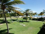 Location de particuliers � particuliers Studio rez de chauss�e cocoteraie - mer et piscine Location saisonni�re Guadeloupe photo 8