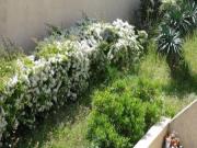 Location de particuliers � particuliers T.2 50 m�tres des plages climatis� avec garage Location saisonni�re Bouches du rh�ne photo 11