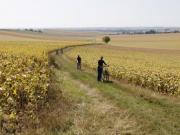 Location de particuliers � particuliers G�te anim� avec traiteur antillais en Bourgogne, 2 heures de PARIS, 4 � 6 pers. G�te d'�tape Yonne photo 15