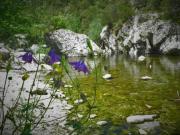 Location de particuliers � particuliers Mas de la Fargassa - Ch�let familial Chalet Pyr�n�es Orientales photo 10