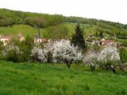 Location de particuliers � particuliers Gite du Puits Lapine village du Zoo de l'Auxois G�te C�te d'or photo 6