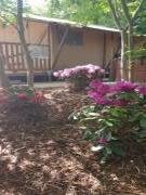 Location de particuliers � particuliers Lodge des Grands Chenes, 5km de Vesoul Location insolite Haute Sa�ne photo 8