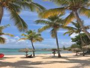 Location de particuliers � particuliers Apt magnifique Vue mer,acc�s direct plage,piscine  Location saisonni�re Guadeloupe photo 2