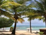 Location de particuliers � particuliers Apt magnifique Vue mer,acc�s direct plage,piscine  Location saisonni�re Guadeloupe photo 9