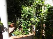 Location de particuliers � particuliers STUDIO JARDINET MONTPELLIER, Calme assur� Location saisonni�re H�rault photo 3