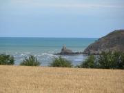 Location de particuliers � particuliers A 200m de la mer ,maison en pleine nature l'ECURIE  Location saisonni�re C�tes d'Armor photo 10