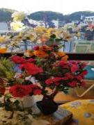 Location de particuliers � particuliers Tr�s joli petit studio au coeur de la Grande Motte Location saisonni�re H�rault photo 2