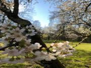 Location de particuliers � particuliers Maison d'h�tes avec parc entre Toucy & Auxerre Chambres d'hotes Yonne photo 11