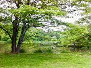 Location de particuliers � particuliers LE GRAND MENASSON G�te Indre et Loire photo 13