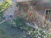 Location de particuliers � particuliers Chambre d'h�tes P�rigord vert Chambres d'hotes Dordogne photo 13