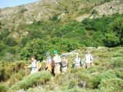 Location de particuliers � particuliers Gite Les jardins, Parc Naturel R�gional du Haut Languedoc G�te H�rault photo 13