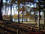 Location de particuliers � particuliers Belles vacances au chalet Guadeloupe Domaine du Rossignon Location saisonni�re Lot et Garonne photo 10