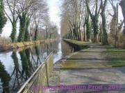 Location de particuliers � particuliers Belles vacances au chalet Guadeloupe Domaine du Rossignon Location saisonni�re Lot et Garonne photo 13