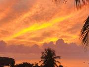 Location de particuliers � particuliers Studio vue mer � Sainte Anne Martinique  G�te Martinique photo 12