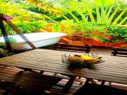 Location de particuliers � particuliers Le Ti Citron Vert, invitation � l'�vasion tropicale ! Chalet R�union photo 12