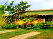 Location de particuliers � particuliers Le Ti Citron Vert, invitation � l'�vasion tropicale ! Chalet R�union photo 2