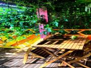 Location de particuliers � particuliers Le Ti Citron Vert, invitation � l'�vasion tropicale ! Chalet R�union photo 5