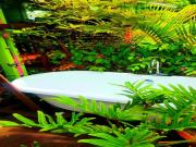 Location de particuliers � particuliers Le Ti Citron Vert, invitation � l'�vasion tropicale ! Chalet R�union photo 6