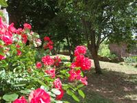 Location de particuliers � particuliers Gite l'Oustal avec piscine en Sud Aveyron  G�te Aveyron photo 3