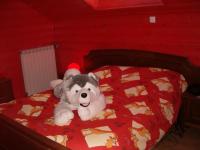 Location de particuliers � particuliers CHALET jusqu'a 7 personnes � 3 kms des pistes de SKI Chalet Vosges photo 2